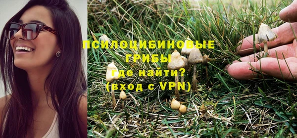 jwh Белокуриха