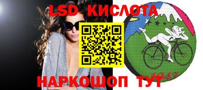 винт Кингисепп